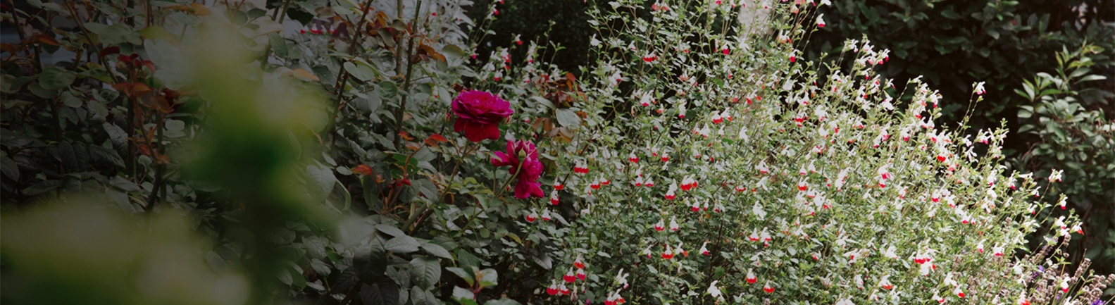 Nursing homes in Worthing Sussex